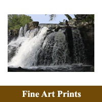 Stand alone Print image of My Cup Runneth Over as a hyperlink to the Fine Art Prints information page