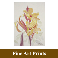 Stand alone Print image of Yellow Cannas as a hyperlink to the Fine Art Prints information page