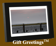 Image of a framed Gift Greetings depicting the Seagulls at Sunset print