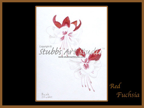 This is the enlarged image of the Red Fuschia Fine Art Print