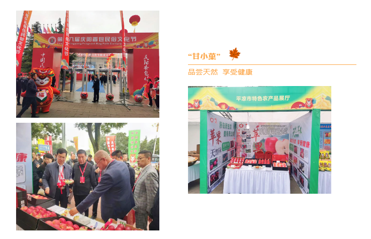 202309271695781706780590.png image.png