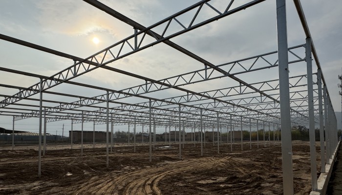 【重大項目建設】不負初冬好時光 施工大干一線忙 ——臨洮國家現(xiàn)代農(nóng)業(yè)產(chǎn)業(yè)園智慧農(nóng)業(yè)示范園建設正酣